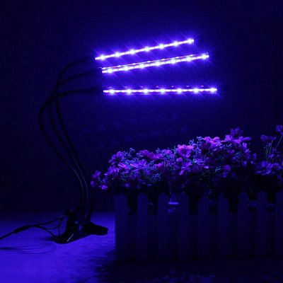 Досветка для растений